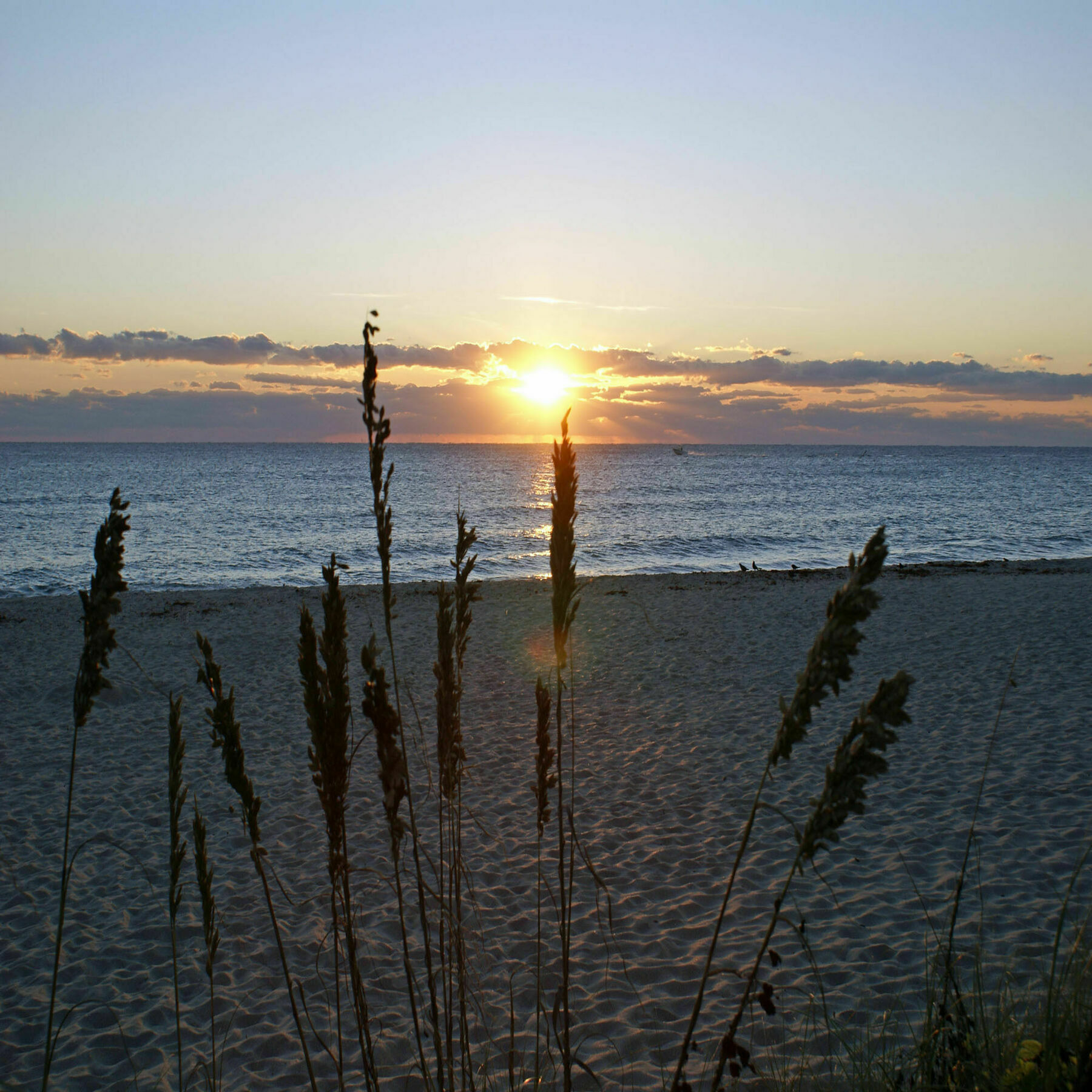 Sabal Palm House Bed And Breakfast Lake Worth Beach Buitenkant foto